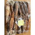 Gefrorene Tintenfisch ganzer Runde Illex Argentinus Squid 200-300g